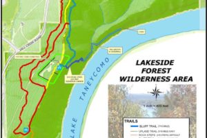 lakeside-forest-wilderness-area